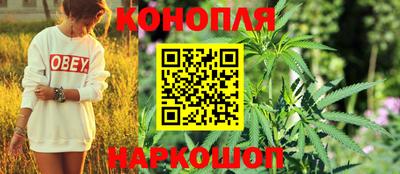 apvp Шелехов