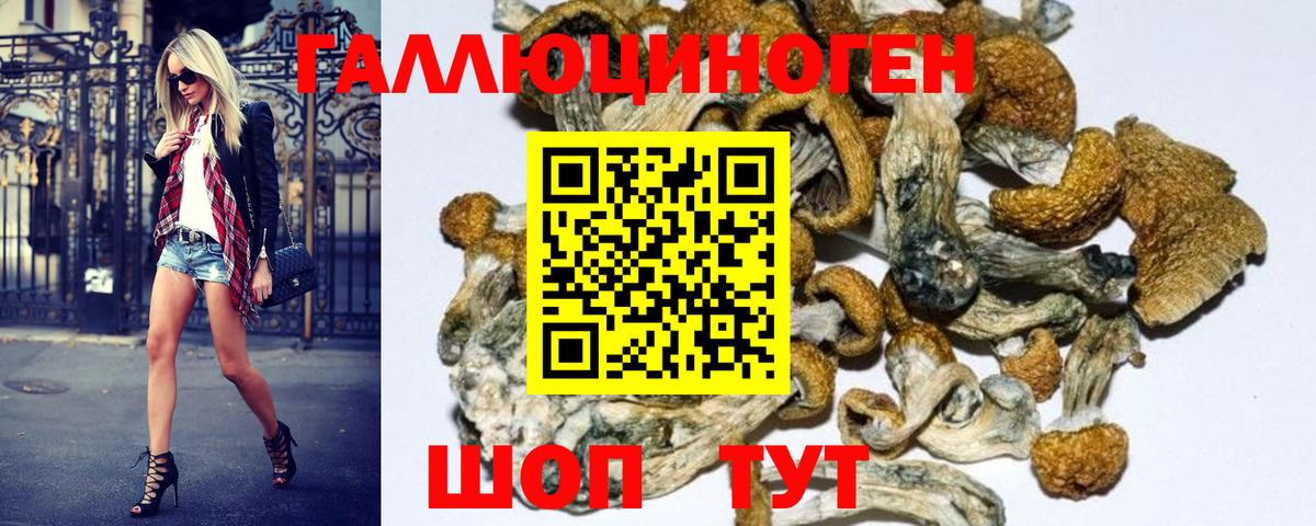 Псилоцибиновые грибы Psilocybine cubensis  Галлюциногенные грибы мухоморы  Михайловск  Вход с VPN 